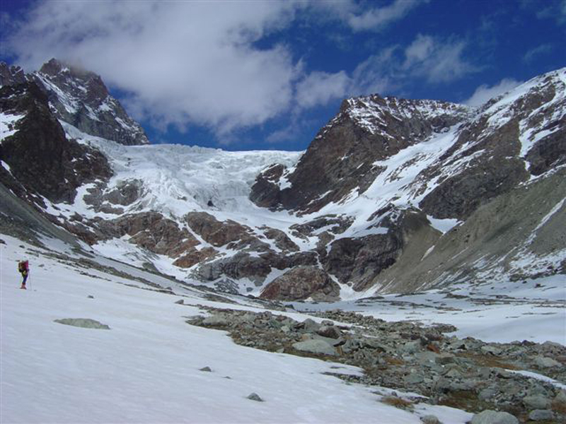 dent009