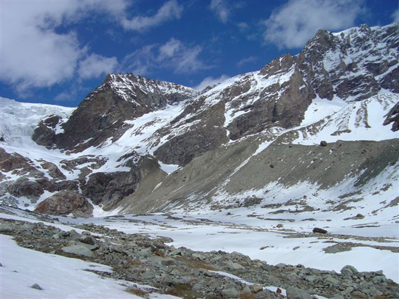 dent010