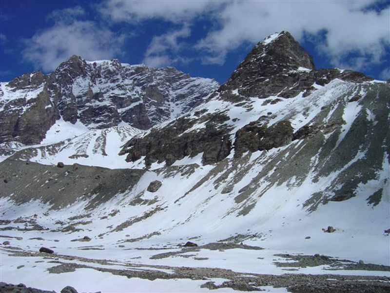 dent011