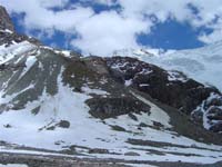 dent012