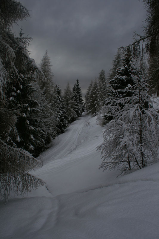 pis_0004a