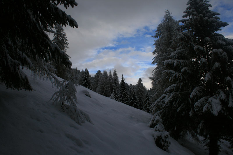 pis_0004b
