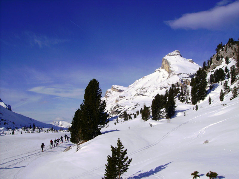 varella_0003e
