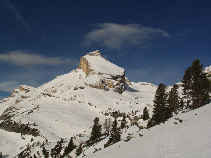 varella_0008