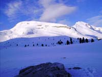 varella_0003a