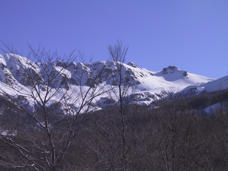 127-2797_CRW