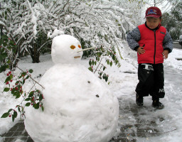 Clima: Cina, neve imbianca Pechino