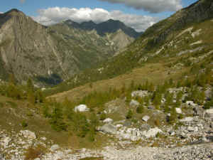 val_DSCN6078.JPG(11062)