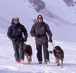 Pellegrini persi nella tormenta di neve salvati dalla Forestale