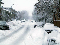 http://www.montagna.org/files/immaginisito/image/marzo2008/Montreal.jpg